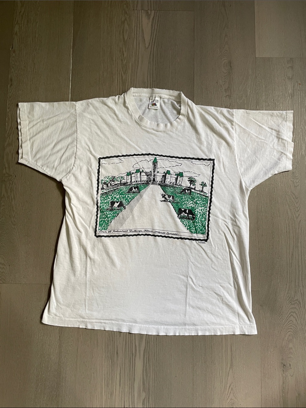 Vintage distressed cows on parliament t shirt